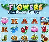 Flowers Christmas